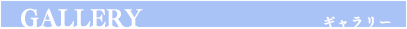 ギャラリー